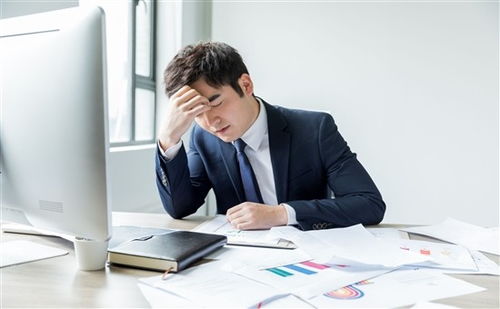 上海人力資源管理師培訓全方位指南 機構選擇、費用解析與備考策略